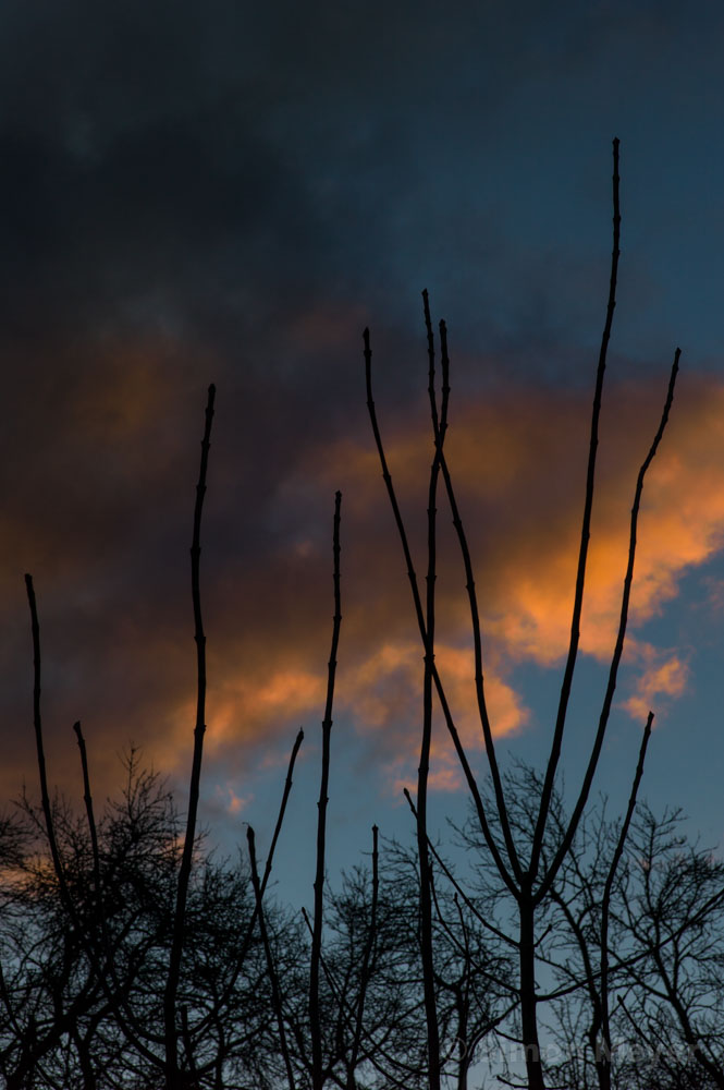 Sturmhimmel