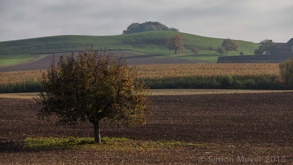 Herbstmorgen im Seetal