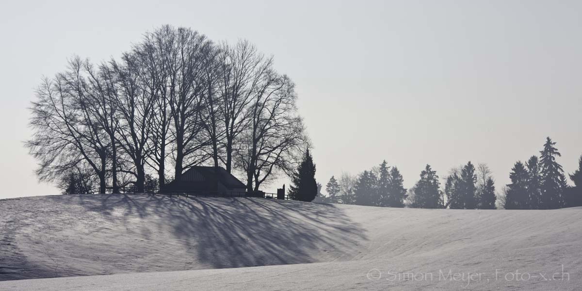 Winterlandschaft