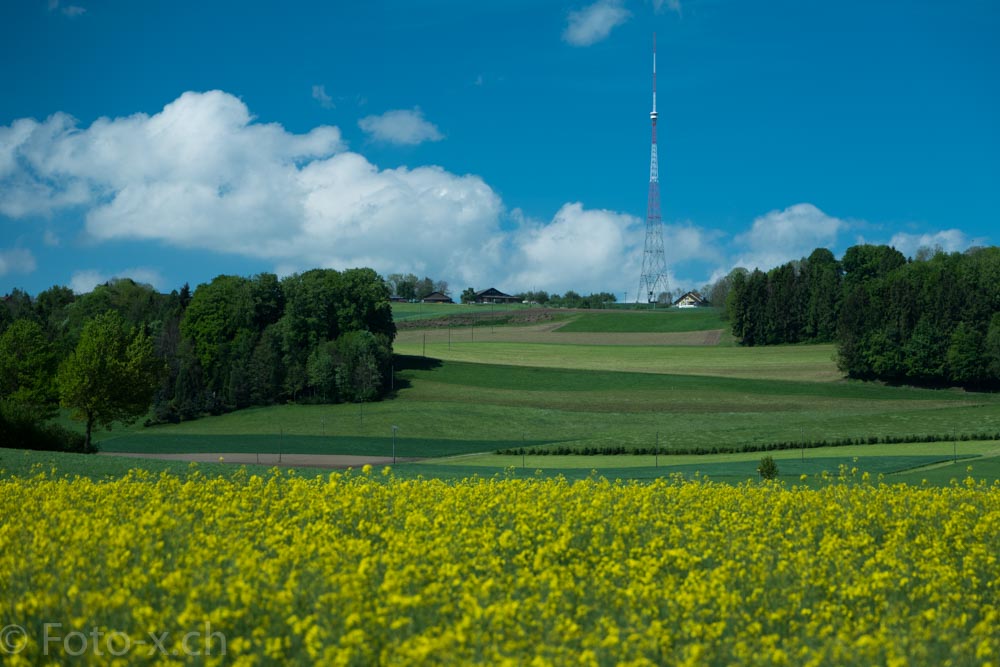 Sendeturm beromünster