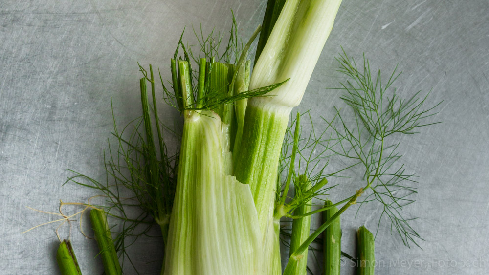 Fenchel