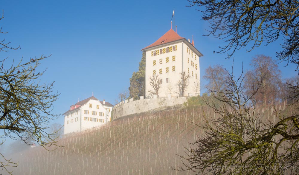 Schloss Heidegg