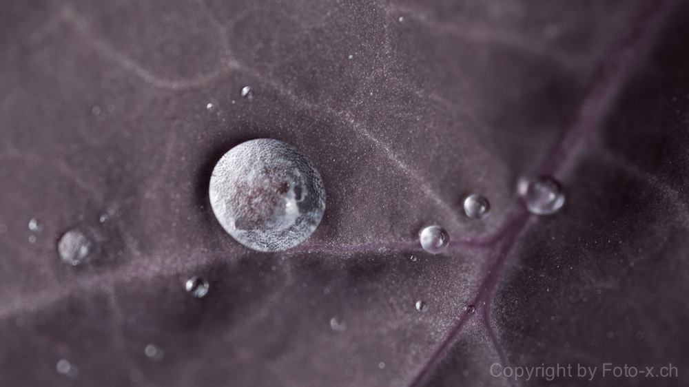Raindrops