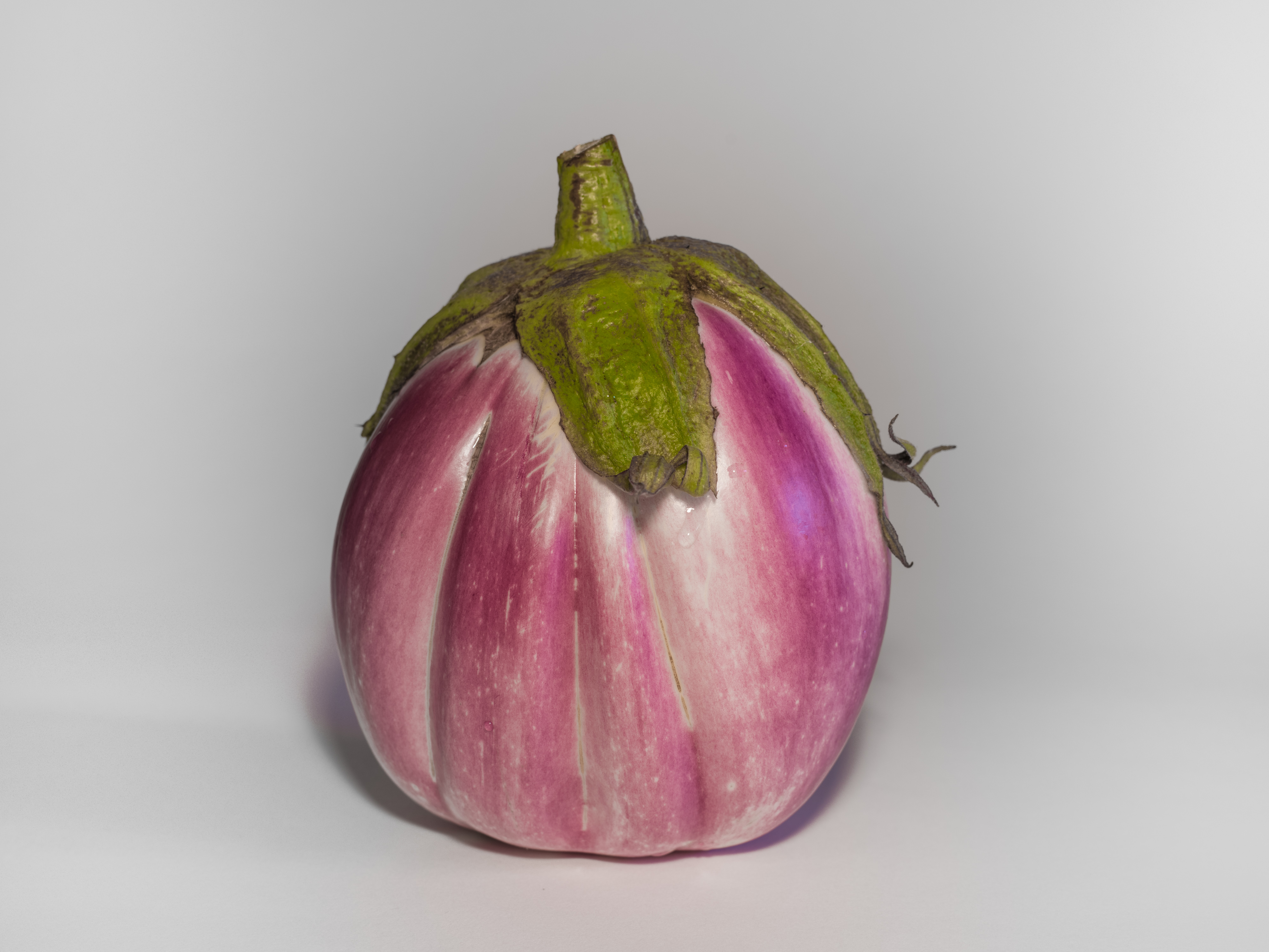 Aubergine