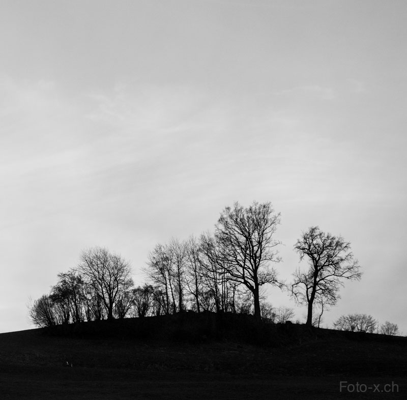 Abendstimmung Schwarzweiss