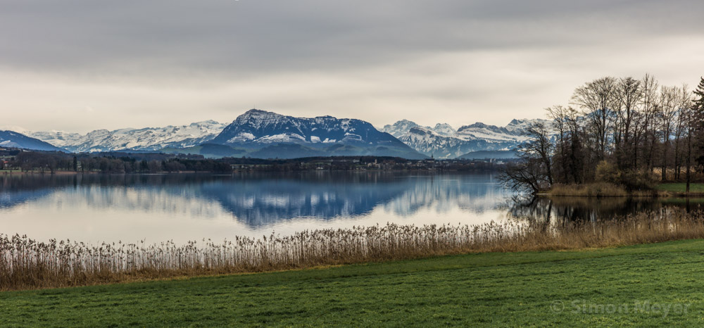 Baldeggersee