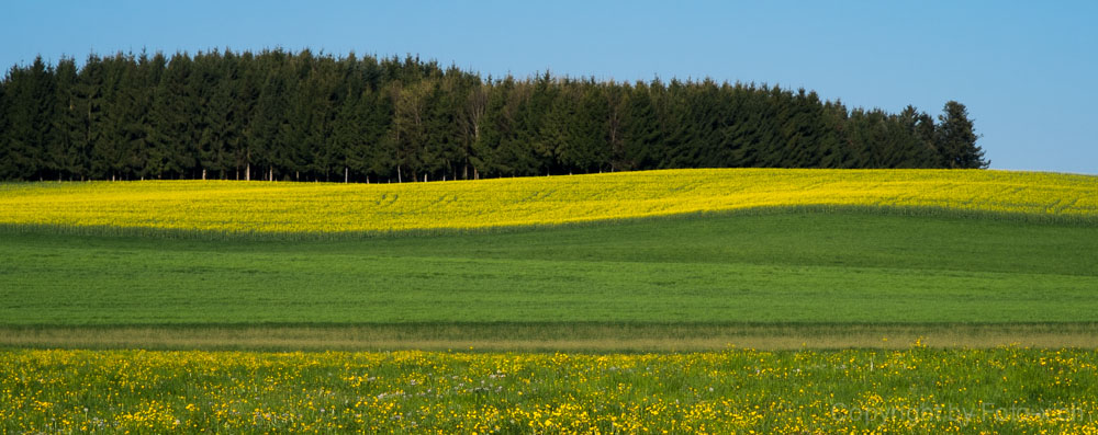 Frühling