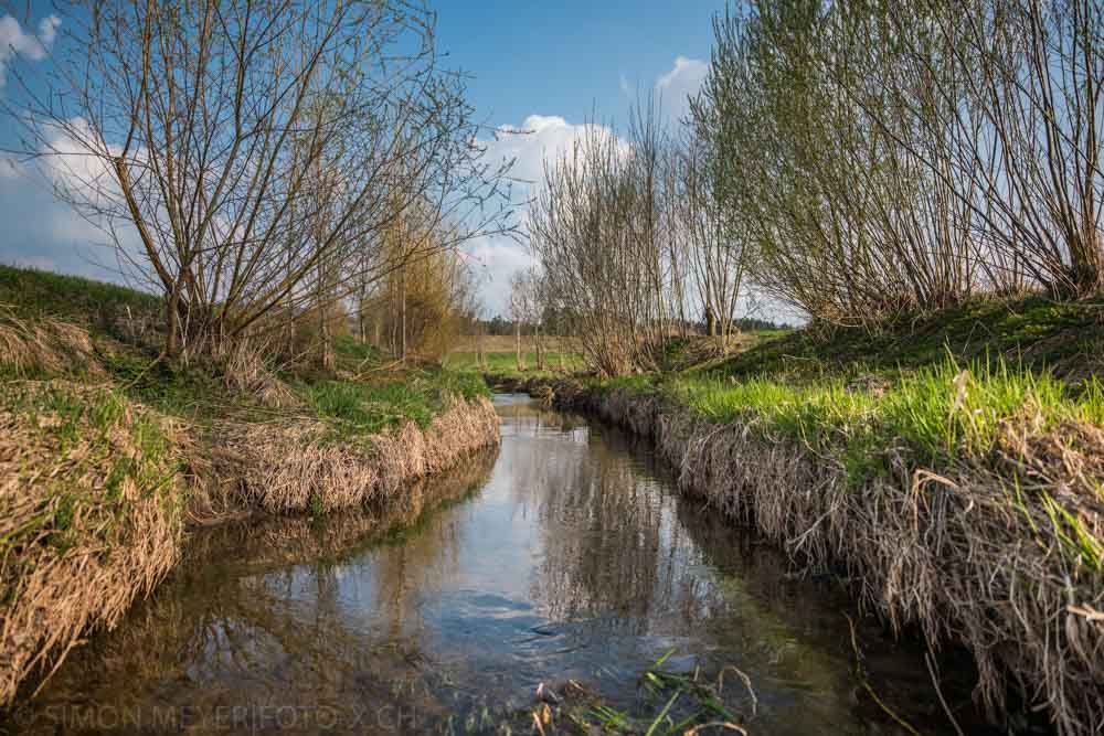 Die Wyna bei Beromünster