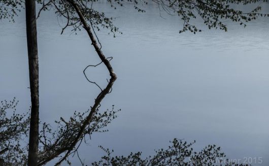 Spiegelung im Baldeggersee