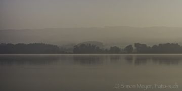 Baldeggersee am Morgen II