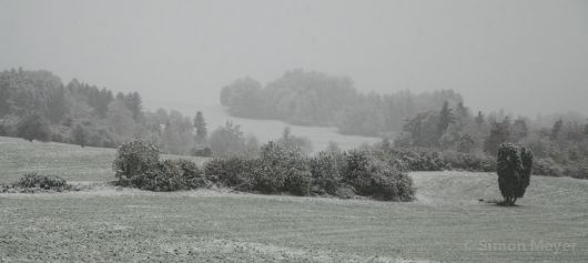 Winterlandschaft