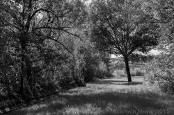 Seetaler Landschaft und der Odem des Todes