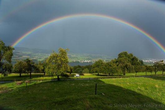 Regenbogen