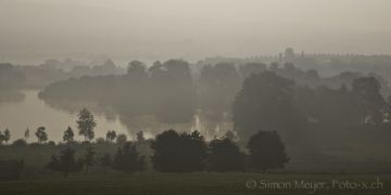 Baldeggersee am Morgen