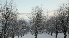 snowy blue Sky