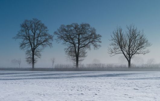 Winterlandschaft im Seetal