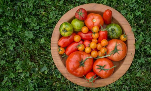 Tomaten