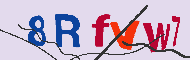 Ungültiger Sicherheitscode
